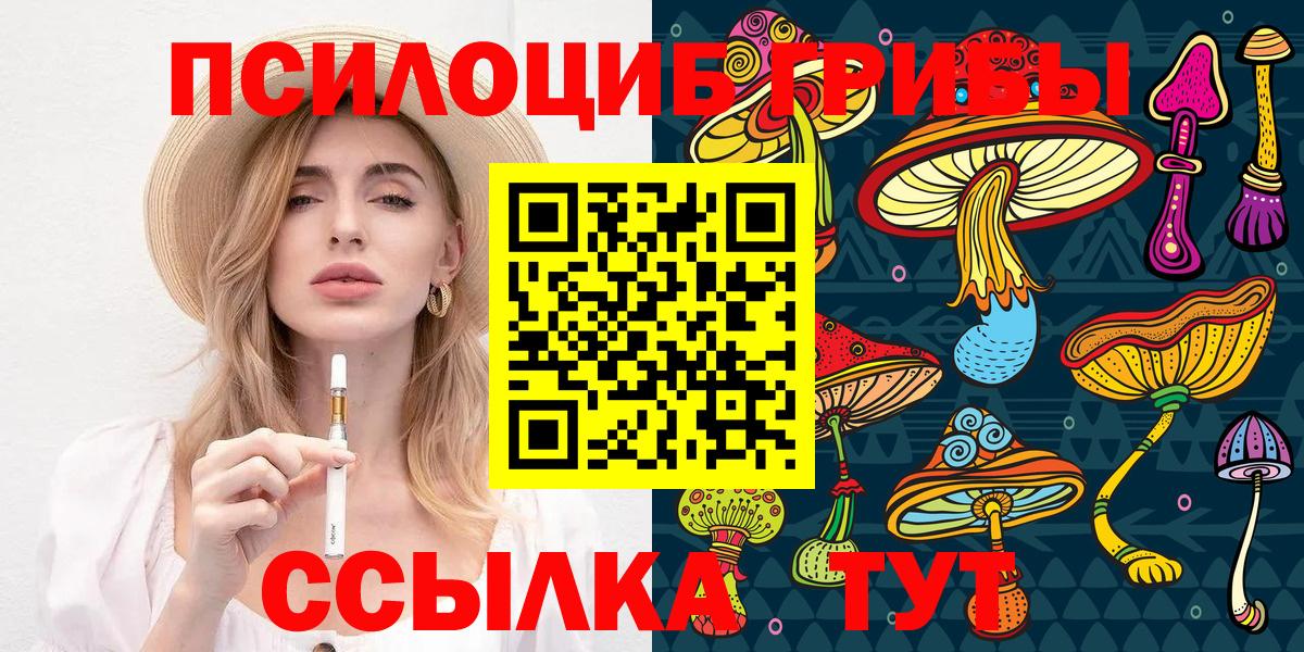 Сланцы  цены наркотик  Вход с VPN  Галлюциногенные грибы мухоморы 