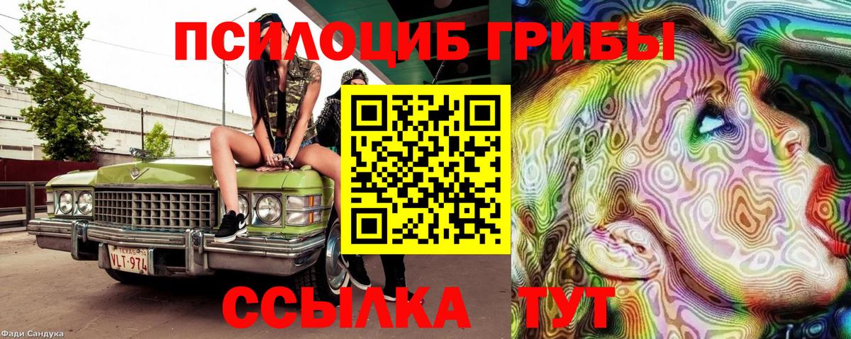 Галлюциногенные грибы Magic Shrooms Сланцы